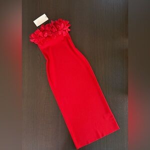 Zara Vibrant Red Dress